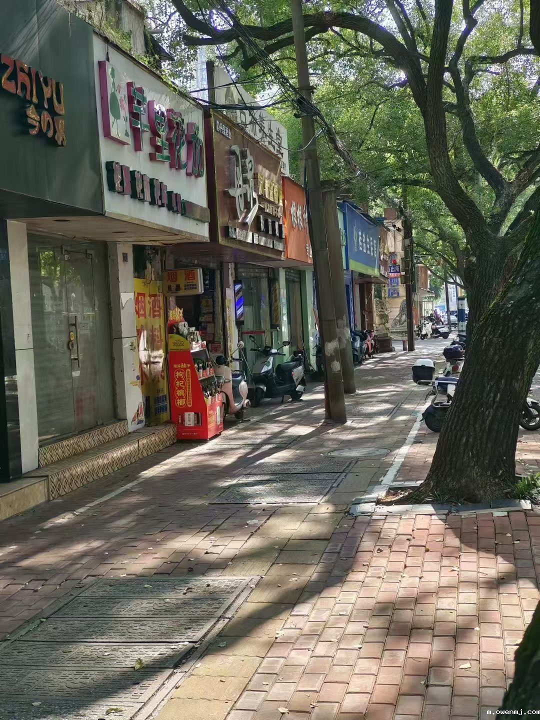 南宁市青秀区建政路51号沿街铺面和车库招租公告