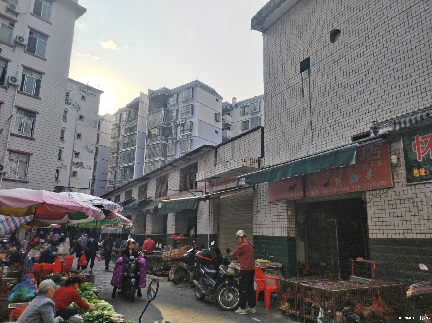 新利18xl河池分公司招租公告