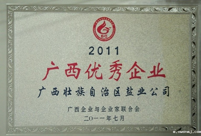 2011广西优秀企业