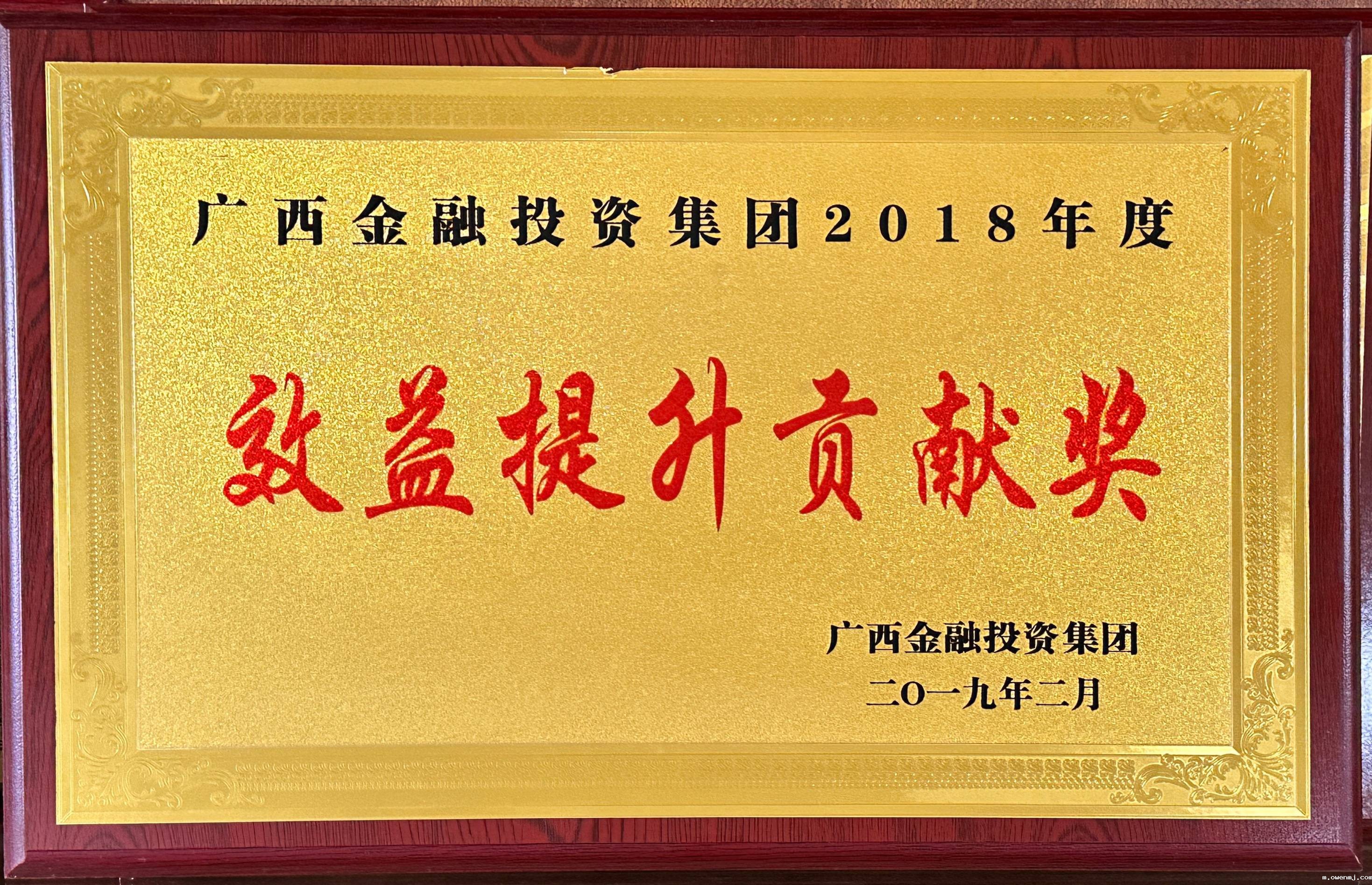 广西金融投资集团2018年度效益提升贡献奖