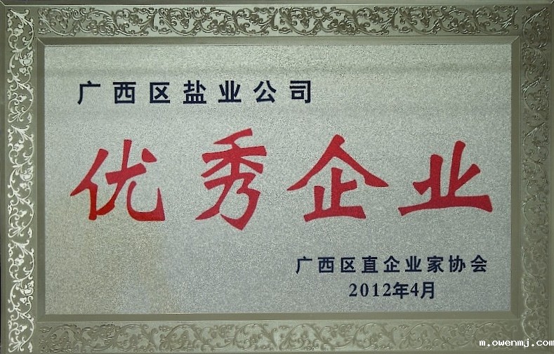 2012年广西区直企业家协会优秀企业