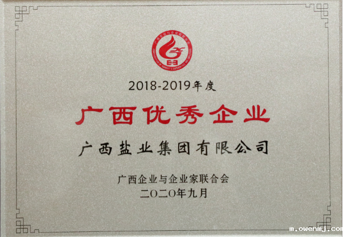 2018-2019年度广西优秀企业